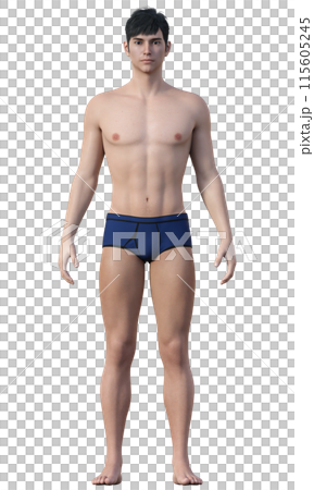 標準體脂肪百分比為 15% 的健康男性插圖 日本 3D 模型全身前視圖 標準體脂肪百分比為 15% 的健康男性插圖 日本 3D 模型全身前視圖 115605245