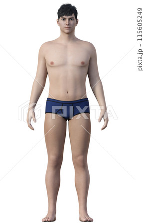 体脂肪率25% 肥満気味の男性のイラスト 日本人3Dモデルの全身正面 115605249