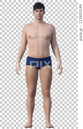 体脂肪率25% 肥満気味の男性のイラスト 日本人3Dモデルの全身正面 115605249