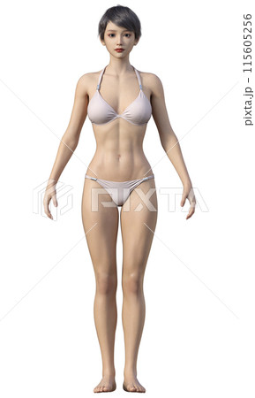 体脂肪率25% スリムでモデル体型の女性のイラスト 日本人3Dモデルの全身正面 115605256