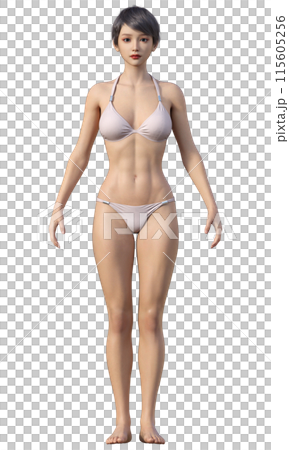 体脂肪率25% スリムでモデル体型の女性のイラスト 日本人3Dモデルの全身正面 115605256
