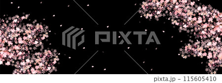 桜　春　ピンク　背景	 115605410