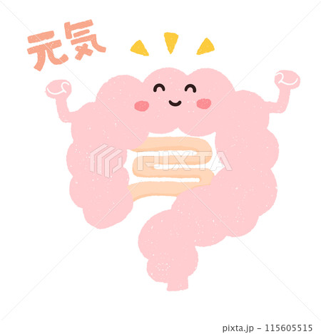 手描きのにっこり笑う元気な腸のキャラクター 手描きのにっこり笑う元気な腸のキャラクター 115605515
