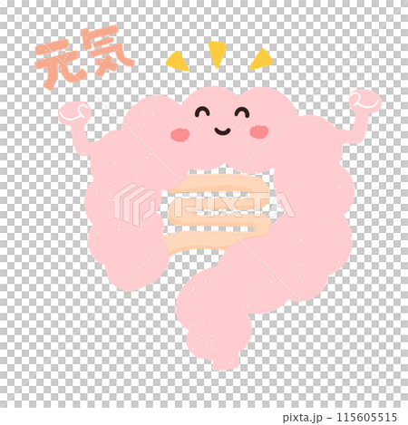 手描きのにっこり笑う元気な腸のキャラクター 手描きのにっこり笑う元気な腸のキャラクター 115605515