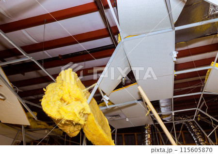 If damaged ceiling is found during renovation of commercial building, it must be demolished If damaged ceiling is found during renovation of commercial building, it must be demolished 115605870