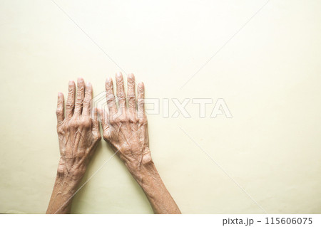 close up of hands of a elderly person  115606075