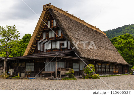 【岐阜県_白川郷】日本の原風景・初夏 115606527