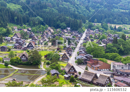 【岐阜県_白川郷】日本の原風景・初夏 【岐阜県_白川郷】日本の原風景・初夏 115606532