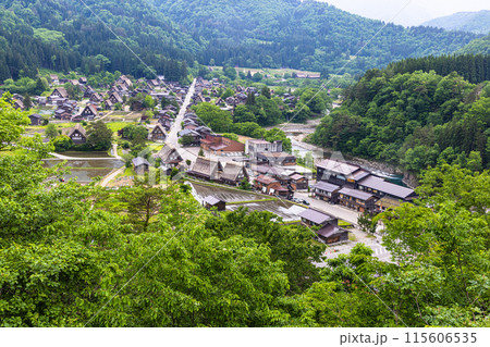 【岐阜県_白川郷】日本の原風景・初夏 115606535