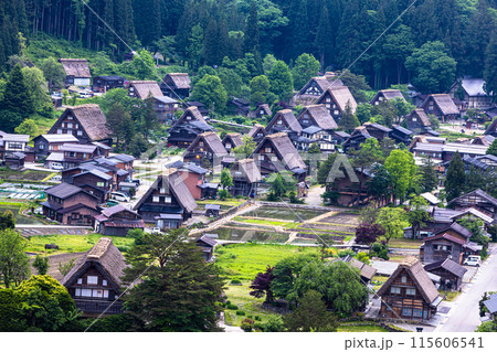 【岐阜県_白川郷】日本の原風景・初夏 【岐阜県_白川郷】日本の原風景・初夏 115606541