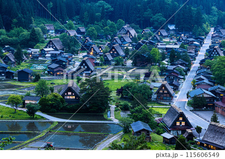 【岐阜県_白川郷】日本の原風景・初夏 115606549