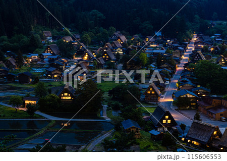 【岐阜県_白川郷】日本の原風景・初夏 115606553