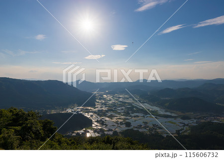 夕暮れの水田とパラグライダー（大分県玖珠町） 115606732