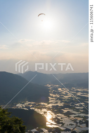 夕暮れの水田とパラグライダー（大分県玖珠町） 115606741