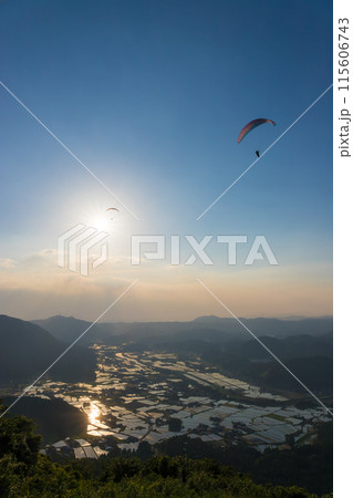 夕暮れの水田とパラグライダー(大分県玖珠町) 夕暮れの水田とパラグライダー(大分県玖珠町) 115606743