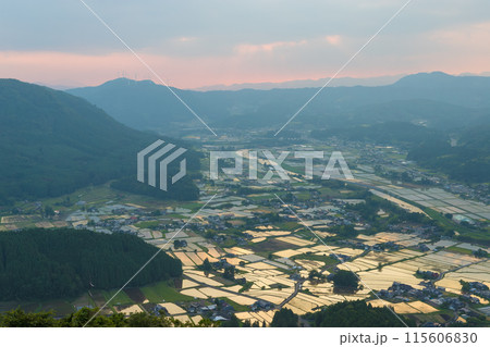 夕暮れの水田（大分県玖珠町） 115606830