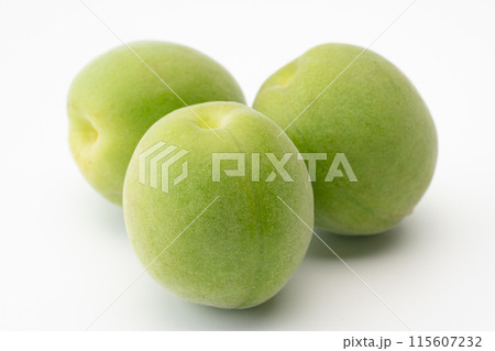 青梅のクローズアップ 115607232