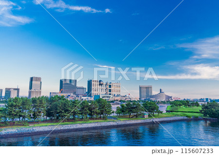 （東京都）レインボープロムナードから眺めるお台場　夕景 115607233