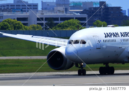 大阪国際空港 JAL 飛行機 着陸態勢 スカイパーク 大阪国際空港 JAL 飛行機 着陸態勢 スカイパーク 115607770