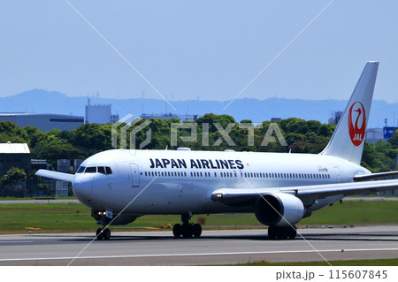 大阪国際空港　JAL　飛行機　離陸　スカイパーク 115607845