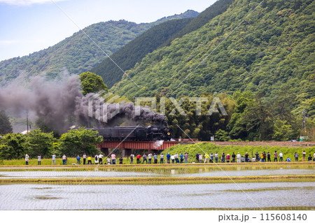 山口線SLやまぐち号 115608140