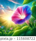 アサガオ 115608722