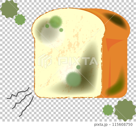 Illustration of moldy bread 115608750