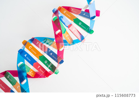 DNA or Deoxyribonucleic acid is a double helix chains structure formed by base pairs attached to a sugar phosphate backbone. DNA or Deoxyribonucleic acid is a double helix chains structure formed by base pairs attached to a sugar phosphate backbone. 115608773