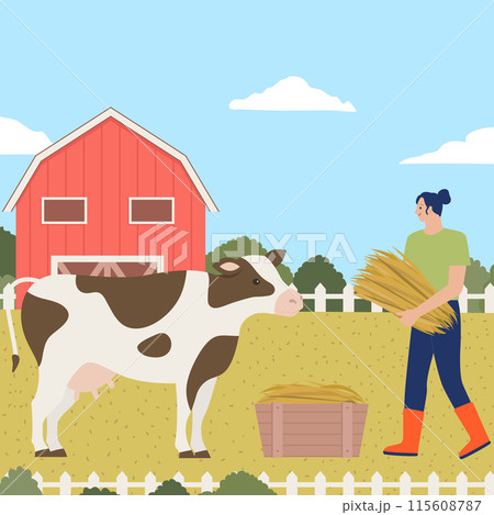 A farmer is feeding a cow in front of a red barn.  115608787