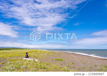 夏のオホーツク海と草原 流木に座り海を見つめる女性 夏のオホーツク海と草原 流木に座り海を見つめる女性 115608987