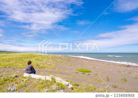 夏のオホーツク海と草原　流木に座り渡り鳥を見つめる女性 115608988