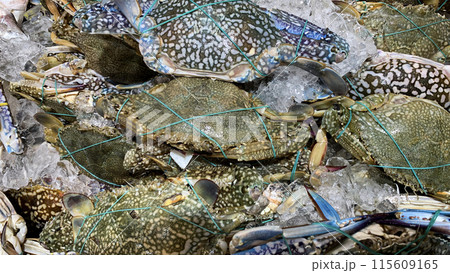 Top view of fresh crabs display in market. Seafood concept Top view of fresh crabs display in market. Seafood concept 115609165