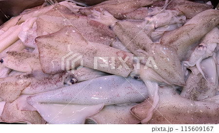 Top view of fresh squids display in market. Seafood concept. Top view of fresh squids display in market. Seafood concept. 115609167