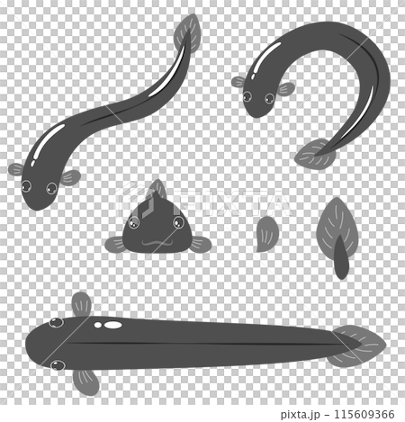 シンプルなうなぎのイラスト シンプルなうなぎのイラスト 115609366