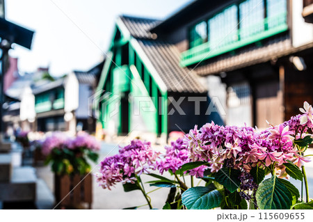 長崎出島 和蘭商館跡 カピタン部屋 外観とアジサイ　【長崎市】 115609655