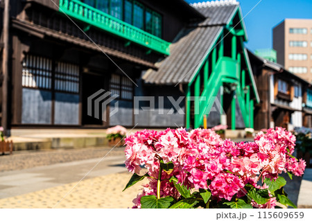 長崎出島 和蘭商館跡 カピタン部屋 外観とアジサイ 【長崎市】 長崎出島 和蘭商館跡 カピタン部屋 外観とアジサイ 【長崎市】 115609659