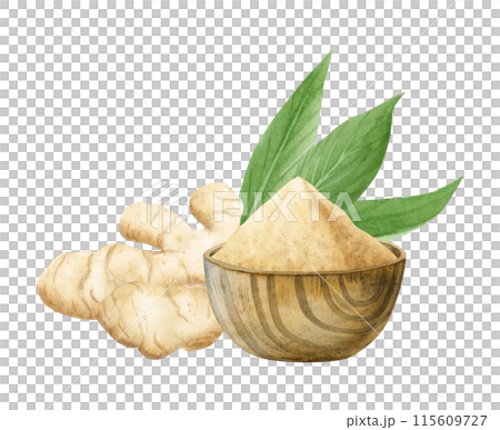 Ginger roots and pile of ground garlic powder in wooden bowl watercolor illustration isolated on white background. Dry and raw spices with leaves for cooking, seasoning food and healthy dishes 115609727