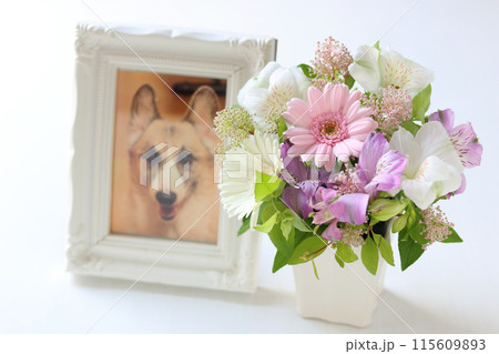 優しい色のアレンジメント 115609893