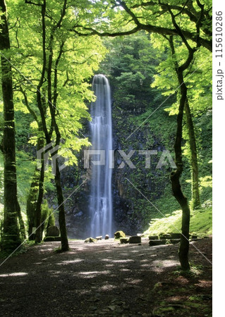 玉簾の滝・たますだれのたき（山形県・酒田市） 115610286