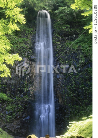玉簾の滝・たますだれのたき（山形県・酒田市） 115610289
