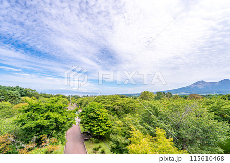道の駅YOU・遊・もり 展望ラウンジよりオニウシ公園・噴火湾を望む 道の駅YOU・遊・もり 展望ラウンジよりオニウシ公園・噴火湾を望む 115610468