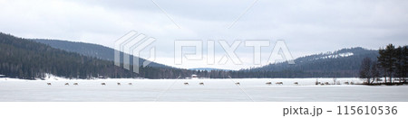 Reindeer crossing a frozen lake, farming in Finland Reindeer crossing a frozen lake, farming in Finland 115610536