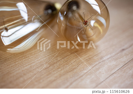 エジソンバルブライト 115610626