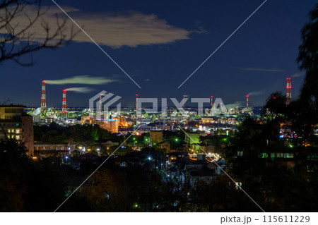 煙突の立ち並ぶ工場夜景 煙突の立ち並ぶ工場夜景 115611229