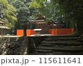 青モミジと御蔭神社 115611641