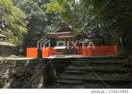 青モミジと御蔭神社 青モミジと御蔭神社 115611641