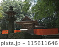 青モミジと御蔭神社 115611646