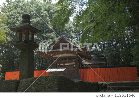 青モミジと御蔭神社 115611646