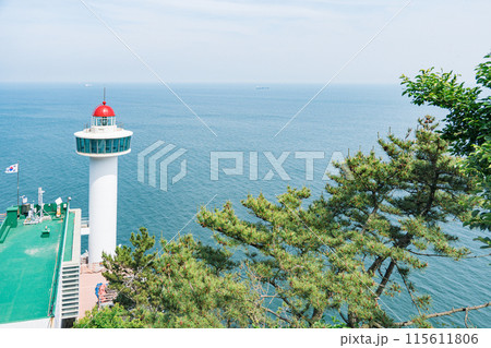 海 釜山 太宗台 灯台 海 釜山 太宗台 灯台 115611806