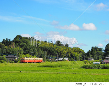 初夏の小湊鉄道 初夏の小湊鉄道 115612122